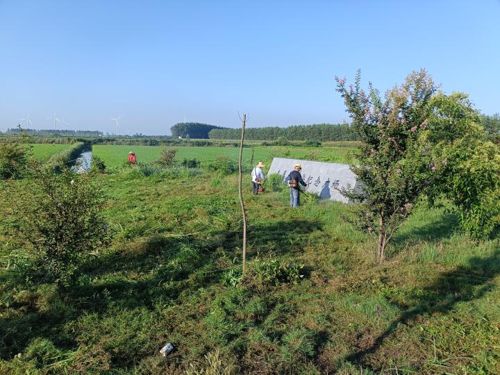 公墓除草