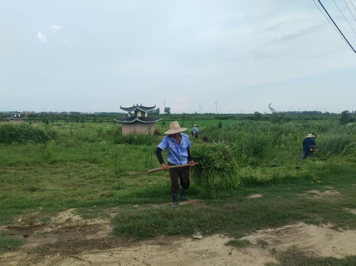 公墓除草